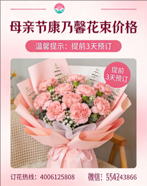 齐齐哈尔龙江县花店母亲节康乃馨花束