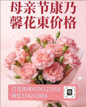 齐齐哈尔龙江县花店母亲节康乃馨花束